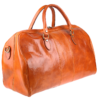 Galba Camel - Image 2