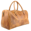 Galba Cerata Camel - Image 2