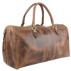 Galba Cerata Marrone - Image 2